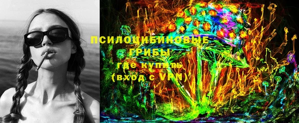 бошки Осташков