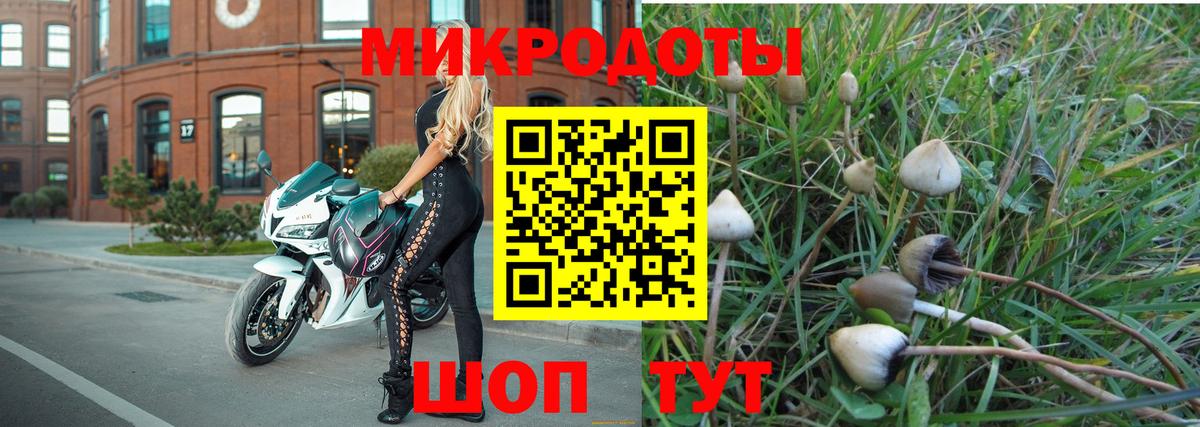 Юрга  Псилоцибиновые грибы Cubensis  Галлюциногенные грибы Cubensis  Вход с VPN 